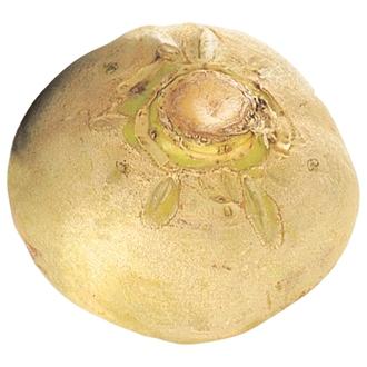 Lanttu irto