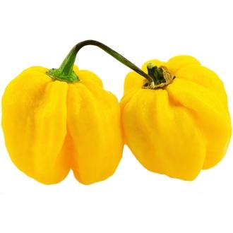 Habanero erittäin tulinen 10