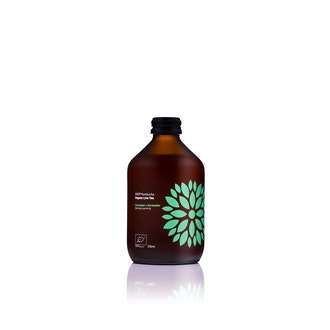 Vigo Kombucha kurkku-korianteri 0,315l luomu