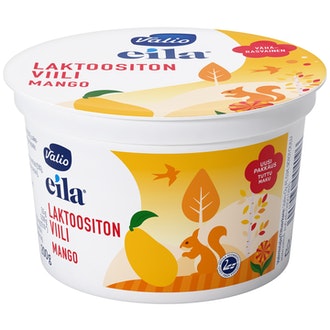 Valio Eila viili 200g mango laktoositon