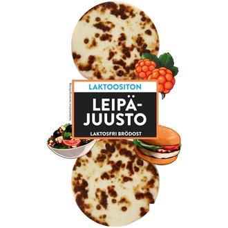 Juustoportti leipäjuusto 2 x n.60 g/120 g laktoositon