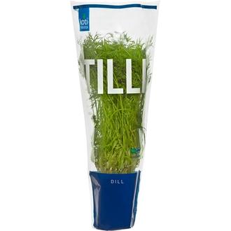 Kotimaista suomalainen tilli ruukussa 30 g