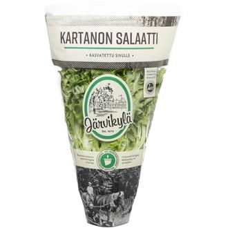 Kartanon salaatti