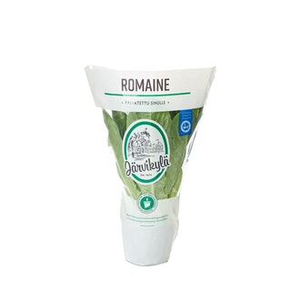 Romaine salaatti