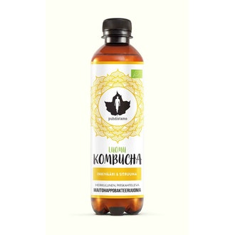 Puhdistamo Luomu Kombucha Inkivääri-Sitruuna 370 ml