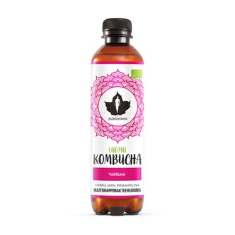Puhdistamo Luomu Kombucha Vadelma 370 ml